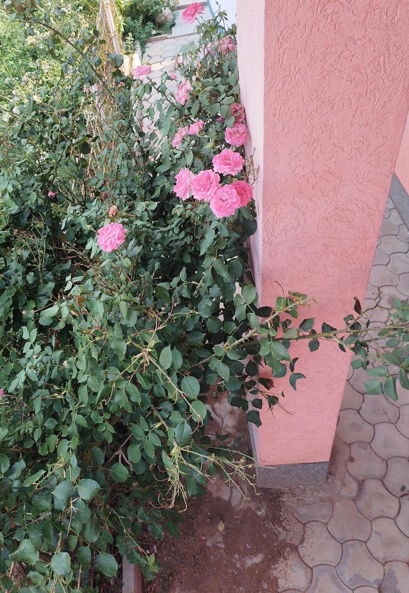 Apartman Leki SJJ Esterno foto